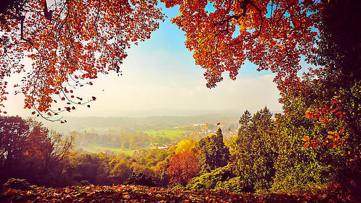 포토 JPG 해외이미지 잎 자연 산 따뜻함 사람없음 빨간색 태양 이탈리아 가을 숲 해외포토 자연요소 식물 계절 유럽 컬러 생태계 파일형식 이미지허브