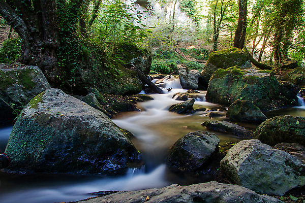 포토 JPG 해외이미지 나무 식물 공원 호수 여행 자연 휴식 국립공원 풍경 사람없음 초록색 물 강 이탈리아 폭포 가을 개울 급류 떨어짐 숲 로마 운하 장노출 암초 내추럴 바이오 해외포토 자연요소 계절 공공시설 유럽 컬러 컨셉 촬영기법 생태계 파일형식 이미지허브