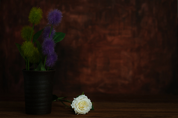 포토 JPG 해외이미지 식물 계절 꽃잎 꽃 꽃다발 컨셉 잎 꽃무늬 건조 미술 사람없음 장식 여름 빛 장미 꽃병 보라색 침묵 기쁨 수확 골동품 가을 흰색 클래식 깃털 그림 복고 아로마 부드러움 솜털 거짓 구성 스타일 해외포토 감정 컬러 무늬 농업 문화예술 소리 감각 파일형식 이미지허브