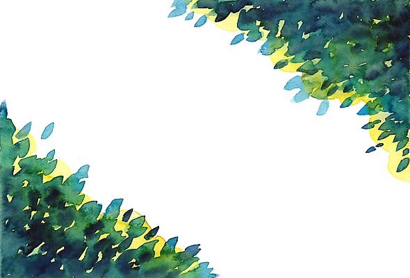 포토 JPG 해외이미지 나무 식물 디자인 계절 백그라운드 잎 일러스트 자연 추상 수채화 프레임 미술 사람없음 장식 초록색 여름 정원 봄 성장 신선 신용카드 숲 그림 정사각형 식물원 초대 내추럴 엘리먼트 카피스페이스 해외일러스트 도형 컬러 무늬 문화예술 금융 공백 생태계 파일형식 이미지허브