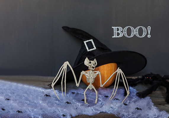 포토 JPG 해외이미지 계절 행복 문화 백그라운드 장난 캘리그라피 텍스트 호박 휴가 사람없음 장식 침묵 할로윈 가을 축하 대접 인사 신용카드 메시지 배열 엽서 박 잭 대본 정물화 필기체 해외포토 문자 감정 컨셉 채소 금융 소리 예절 편지 그림 파일형식 이미지허브