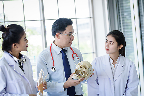 포토 JPG 해외이미지 학생 손 응시 여자 교육 남자 골격 실험 들기 사람 동양인 성인 세명 교수 가르침 실험실 과학자 대학교 뼈모형 해골모형 성인만 해외포토 직업 시선 과학 학교 모션 인종 신체부위 모형 교사 학자 파일형식 이미지허브