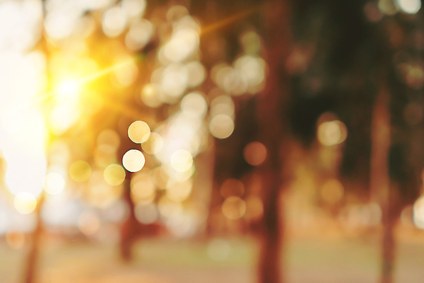 포토 JPG 해외이미지 나무 식물 디자인 계절 공원 도로 지구 여행 백그라운드 컨셉 잎 밭 자연 벽지 하늘 추상 휴식 거리 사람 풍경 사람없음 야외 초록색 여름 빛 컬러풀 햇빛 태양 우주 환경 정원 산책 가을 도시 소프트포커스 숲 질감 보케 내추럴 블러 해외포토 자연요소 공공시설 길 컬러 무늬 농업 교통시설 촬영기법 생태계 파일형식 이미지허브