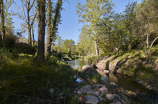 포토 JPG 해외이미지 식물 지구 여행 모션 자연 산 이끼 사람없음 초록색 물 파란색 강 달리기 평화 환경 화목 침묵 봄 폭포 흐름 안개 신선 개울 떨어짐 매끈함 숲 순수 속도 상쾌 알프스 내추럴 블러 슬로베니아 해외포토 자연요소 계절 감정 유럽 컬러 컨셉 날씨 소리 감각 생태계 파일형식 이미지허브