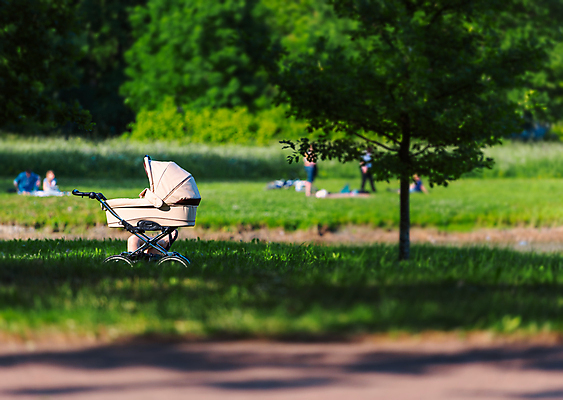 포토 JPG 해외이미지 나무 백인 라이프스타일 계절 공원 어린이 가족 자연 휴식 사람 성인 사람없음 야외 초록색 여름 흰색 아기 도시 마차 유모차 해외포토 서양인 식물 공공시설 교통수단 컬러 컨셉 관계 생활 아기용품 생태계 파일형식 이미지허브