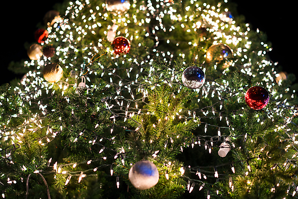 포토 JPG 해외이미지 나무 디자인 계절 행복 백그라운드 크리스마스 겨울 공 추상 휴가 새로움 사람없음 장식 빨간색 초록색 빛 우주 장식볼 나뭇가지 연도 보케 전나무 해외포토 식물 기념일 감정 컬러 컨셉 무늬 파일형식 이미지허브