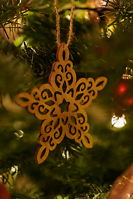 포토 JPG 해외이미지 모양 나무 전통 계절 행복 별 종교 크리스마스 겨울 공 가족 휴가 전등 주택 매달리기 선물 사랑 사람없음 목재 장식 빛 산타클로스 축제 화환 기쁨 장식볼 흰색 시골 소나무 예수 황금 마법 노엘 핸드메이드 클라우스 해외포토 자연요소 식물 기념일 꽃 감정 컬러 재료 관계 모션 조명 건물 신_종교 파일형식 이미지허브