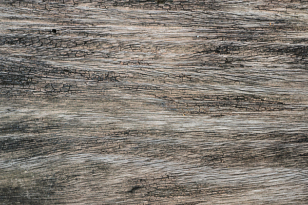 포토 JPG 해외이미지 디자인 선 벽 백그라운드 패턴 자연 탁자 표면 추상 사람없음 목재 줄무늬 회색 판넬 거친 닫기 널 질감 잡동사니 내추럴 그런지 수목 해외포토 나무 컬러 가구 무늬 재료 모션 생태계 파일형식 이미지허브