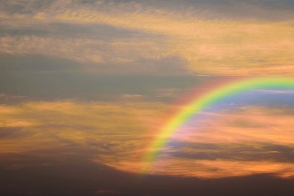 포토 JPG 해외이미지 구름 계절 백그라운드 무지개 자연 벽지 하늘 바람 날씨 추상 휴식 풍경 사람없음 야외 빨간색 여름 빛 햇빛 우주 환경 맑음 침묵 봄 활발 자유 흰색 투명 분위기 장면 천국 내추럴 깊이 오존 몽환 해외포토 자연요소 컬러 컨셉 무늬 태양 소리 생태계 파일형식 이미지허브