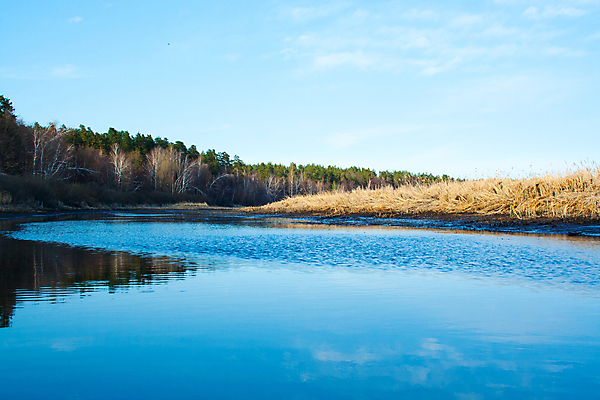 포토 JPG 해외이미지 나무 식물 호수 백그라운드 오렌지 자연 지팡이 하늘 표면 아침 날씨 갈대 풍경 사람없음 야외 초록색 물 여름 파란색 강 햇빛 태양 반사 갈색 일몰 봄 나뭇가지 시골 연못 티켓 습지 매끈함 숲 내추럴 해외포토 주간 자연요소 계절 컬러 과일 노을 감각 생태계 파일형식 이미지허브