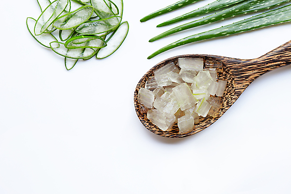 포토 JPG 해외이미지 스튜디오촬영 단면 실내 사람없음 흰배경 알로에 해외포토 식물 백그라운드 내부 흰색 파일형식 이미지허브