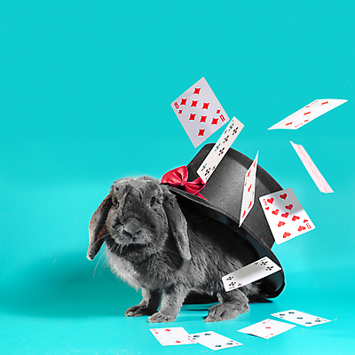 포토 JPG 해외이미지 동물 백그라운드 놀이 나비넥타이 사람없음 반려동물 회색 소용돌이 마법사 마술사 가을 게임 마음 토끼 신용카드 행운 재산 도박 떨어짐 자르기 카지노 주사위 클럽 다이아몬드 마법 판지 기르기 많음 해외포토 계절 컬러 컨셉 포유류 모션 넥타이 금융 마술 회오리 보석 돌봄 파일형식 이미지허브