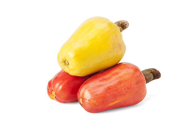 포토 JPG 해외이미지 음식 잎 농업 채소 과일 자연 건강 요리 씨앗 사람없음 야외 빨간색 세로 약 농장 노란색 쌓기 사진촬영 미국 견과류 수확 신선 그룹 시장 사과 농부 다발 브라질 남쪽 내추럴 밭일 숙성 캐슈넛 브라질사람 해외포토 식물 직업 산업 컬러 북아메리카 의학 모션 촬영 남아메리카 방향 생태계 파일형식 이미지허브