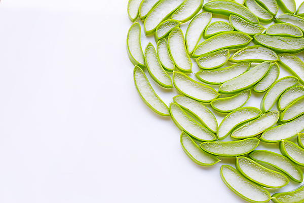 포토 JPG 해외이미지 스튜디오촬영 단면 실내 사람없음 흰배경 알로에 해외포토 식물 백그라운드 내부 흰색 파일형식 이미지허브