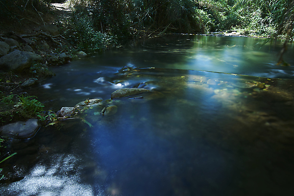 포토 JPG 해외이미지 호수 물결 파도 백그라운드 잎 패턴 모션 자연 벽지 국립공원 그림자 풍경 사람없음 야외 초록색 물 여름 빛 강 반사 환경 폭포 회색 젖음 바위 신선 원형 투명 액체 개울 매끈함 숲 작음 아래 질감 내추럴 현재 해외포토 자연요소 도형 식물 계절 공원 바다 컬러 컨셉 무늬 감각 크기 방향 생태계 위치 파일형식 이미지허브