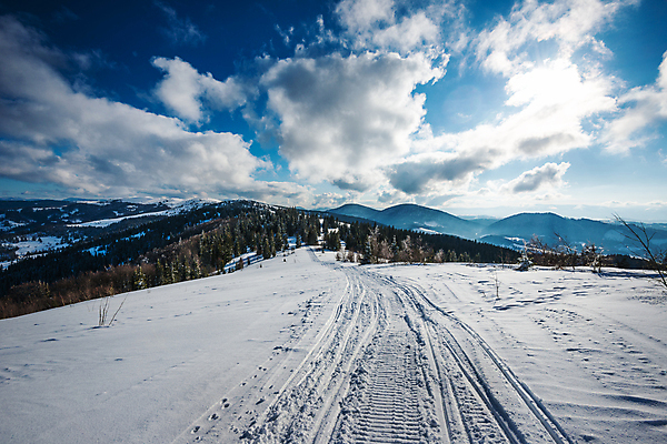 포토 JPG 해외이미지 나무 구름 계절 유럽 길 여행 겨울 자연 하늘 날씨 스키 휴식 산 풍경 경사 사람없음 태양 걷기 우주 환경 계곡 냉동 얼음 산책 하이킹 추위 흰색 시골 소나무 숲 발자국 오솔길 언덕 서리 트랙 북쪽 단계 깊이 자취 절정 눈내림 가문비나무 해외포토 자연요소 식물 나라 컬러 컨셉 자국 모션 레저 겨울스포츠 눈_날씨 방향 생태계 파일형식 이미지허브