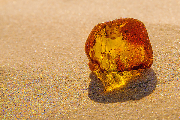 포토 JPG 해외이미지 자연 사람없음 빛 주황색 투명 보석 화석 앰버 해외포토 컬러 광석 생태계 파일형식 이미지허브