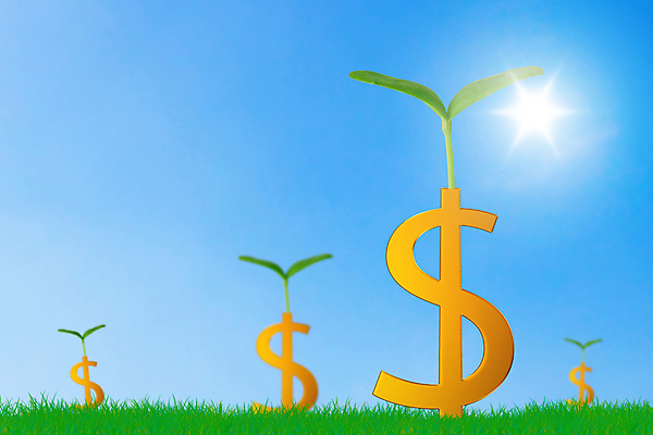 포토 JPG 해외이미지 식물 백그라운드 컨셉 돈 비즈니스 자연 성공 아이디어 사람없음 금융 경제 달러 에너지 성장 절약 시장 주식 대표 리더 에코 투자 문제 이익 수익 해결 진행 개선 개발 경영 생태학 수입 업그레이드 전진 해외포토 교육 환경 재산 생태계 파일형식 이미지허브