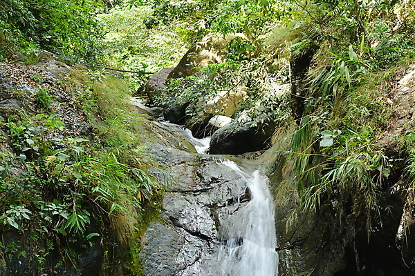 포토 JPG 해외이미지 나무 아시아 여행 백그라운드 자연 풍경 사람없음 야외 초록색 물 폭포 숲 내추럴 해외포토 자연요소 식물 나라 컬러 생태계 파일형식 이미지허브