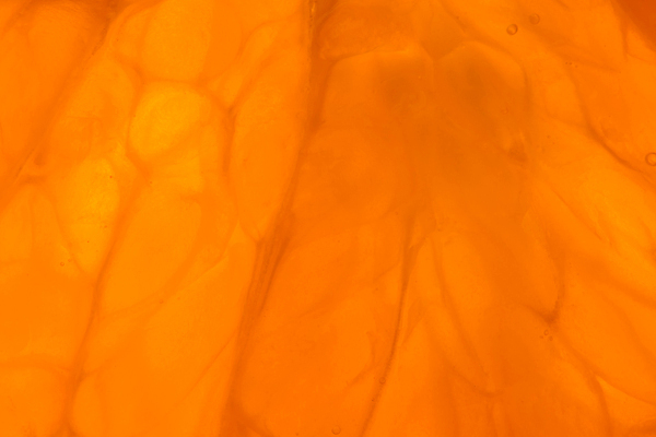 포토 JPG 해외이미지 음식 백그라운드 오렌지 과일 사람없음 주스 신선 질감 H 해외포토 알파벳 음료 파일형식 이미지허브