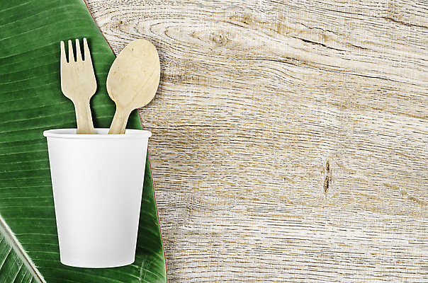 포토 JPG 해외이미지 잎 실내 사람없음 자연보호 종이컵 에코 친환경 에코라이프 나무숟가락 나무포크 친환경제품 카피스페이스 제로웨이스트 나무배경 해외포토 식물 라이프스타일 백그라운드 포크 자연 내부 컵 환경 숟가락 그린캠페인 공백 보호 일회용 사회이슈 파일형식 이미지허브