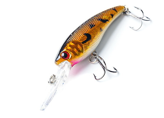 포토 JPG 해외이미지 스포츠 백그라운드 낚시 어류 취미 사람없음 빨간색 초록색 물 세트 금속 숟가락 장비 흰색 잡기 고리 은색 유혹 오브젝트 날카로움 미끼 고립 베이스 해외포토 자연요소 컬러 컨셉 모션 재질 현악기 레저 수저 수중동물 파일형식 이미지허브