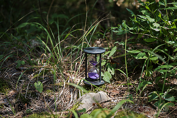 포토 JPG 해외이미지 나무 모래 시계 포즈 백그라운드 컨셉 비즈니스 자연 유리 휴가 휴식 사람없음 야외 목재 태양 갈색 노란색 우주 검은색 어둠 흐름 골동품 기구 시간 투명 숲 크리스탈 모래시계 측정 확인 복고 과거 통과 타이머 마감 옛날 인내 카운트다운 해외포토 자연요소 식물 컬러 재료 재질 광석 생태계 파일형식 이미지허브