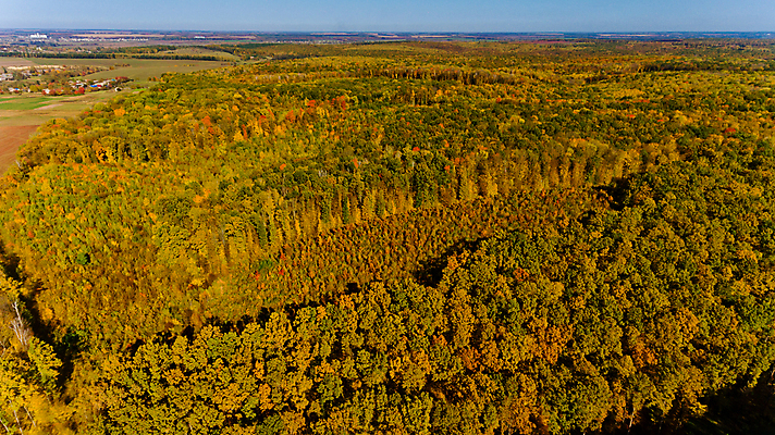 포토 JPG 해외이미지 나무 계절 공원 여행 백그라운드 잎 오렌지 자연 벽지 하늘 날씨 안테나 파노라마 풍경 사람없음 야외 목재 빨간색 초록색 빛 컬러풀 노란색 환경 맑음 가을 시골 황무지 황금 숲 땅 질감 장면 10월 내추럴 드론 조감도 해외포토 식물 공공시설 컬러 과일 재료 통신 촬영기법 날짜 생태계 파일형식 이미지허브