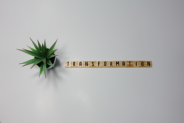 포토 JPG 해외이미지 과학 나비 백그라운드 컨셉 인터넷 일러스트 비즈니스 통신 성공 추상 미래 새로움 아이디어 사람 사람없음 목재 그래픽 빛 글로벌 우주 디지털 자료 웹 정보 성장 네트워크 변화 계획 연결 편지 타일 시작 투자 혁명 개발 경영 방법 인공 지능 AI_인공지능 해외포토 나무 곤충 무늬 재료 파일형식 이미지허브