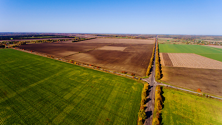 포토 JPG 해외이미지 나무 식물 계절 도로 길 여행 백그라운드 밭 농업 자연 벽지 하늘 안테나 풍경 사람없음 야외 빨간색 초록색 파란색 빛 컬러풀 햇빛 노란색 환경 맑음 가을 시골 황금 숲 땅 심볼 질감 장면 10월 내추럴 수평선 해외포토 산업 컬러 통신 교통시설 날씨 태양 날짜 생태계 파일형식 이미지허브