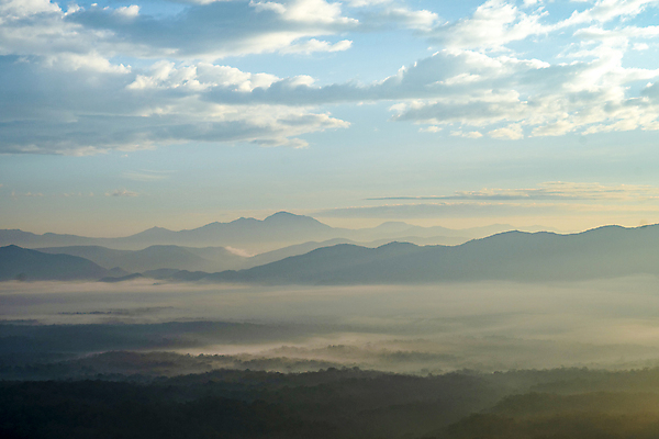 포토 JPG 해외이미지 식물 구름 여자 꽃 섬 밭 태국 자연 하늘 아침 추상 주택 풍경 사람없음 목재 초록색 파란색 빛 컬러풀 일출 계곡 어둠 새벽 안개 가을 흰색 시골 황금 이슬 대나무 언덕 속도 인도네시아 전국 절정 해외포토 주간 자연요소 나무 계절 아시아 컬러 무늬 농업 재료 날씨 사람 건물 노을 생태계 파일형식 이미지허브