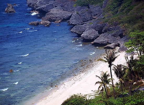 포토 JPG 해외이미지 나무 모래 파도 바다 여행 놀이 조류 휴가 손바닥 해변 사람없음 야외 초록색 물 여름 파란색 서핑 암초 해외포토 자연요소 식물 동물 손 계절 컬러 수상스포츠 파일형식 이미지허브