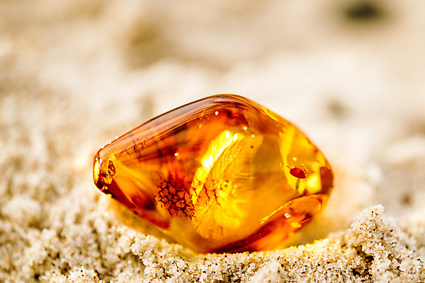 포토 JPG 해외이미지 자연 사람없음 빛 주황색 투명 보석 화석 앰버 해외포토 컬러 광석 생태계 파일형식 이미지허브