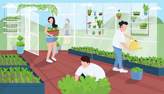 EPS 해외이미지 전신 식물 여자 남자 꽃 화분 줄기 잎 일러스트 서기 들기 여러명 상반신 성인 비닐하우스 온실 성인만 홈가드닝 반려식물 해외일러스트 다수 농업 모션 사람 원예 파일형식 벡터 이미지허브