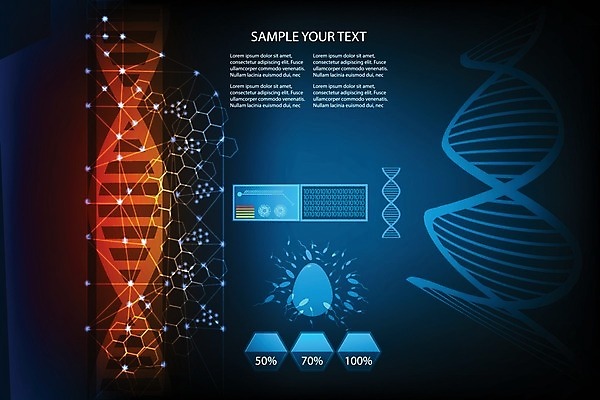 EPS 해외이미지 모델 디자인 과학 컨셉 패턴 신체 일러스트 통신 그래프 추상 미래 아이디어 세포 건강 사람 그래픽 파란색 컴퓨터 약 스크린 자료 의사 정보 연결 분석 염색체 시스템 망사 혁명 돌봄 바이오 엘리먼트 인터페이스 카피스페이스 사용자 해외일러스트 컬러 무늬 의학 모션 전자제품 공백 의료진 직물 생명공학 파일형식 벡터 이미지허브