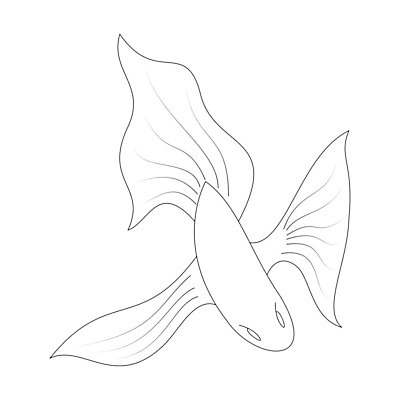 EPS 해외이미지 캐릭터 디자인 야생동물 바다 일러스트 모션 어류 빨간색 반려동물 검은색 수중 흰색 황금 만화 스케치 그림 꼬리 지느러미 고립 동물상 민물 엘리먼트 해외일러스트 일러캐릭터 동물 컬러 미술 조형물 수중동물 파일형식 벡터 이미지허브