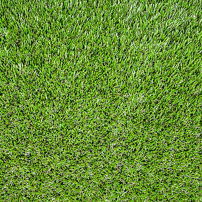 포토 JPG 해외이미지 식물 계절 스포츠 백그라운드 잎 패턴 밭 자연 추상 풍경 잔디 사람없음 야외 장식 초록색 여름 우주 봄 카펫 성장 신선 닫기 땅 허브 질감 내추럴 넣기 땅바닥 그리너리 해외포토 컬러 무늬 농업 모션 바닥 생태계 파일형식 트랜드컬러 이미지허브