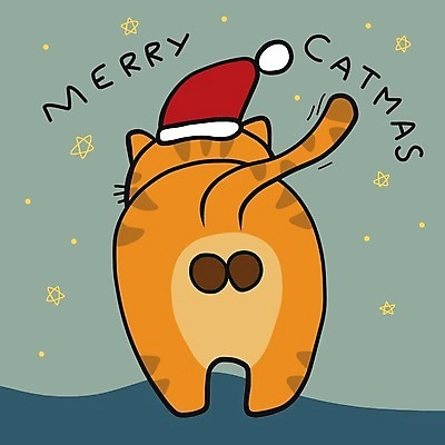 EPS 해외이미지 한마리 크리스마스 일러스트 산타모자 서기 사람없음 반려동물 귀여움 고양이 손그림 반려묘 해외일러스트 동물 모자_잡화 1 기념일 컨셉 포유류 모션 파일형식 벡터 이미지허브