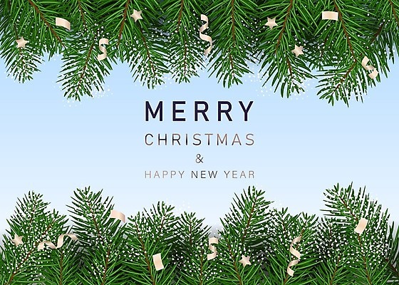 EPS 해외이미지 나무 디자인 배너 계절 행복 별 리본 줄 백그라운드 크리스마스 겨울 일러스트 휴가 새해 프레임 매달리기 미술 장식 초록색 축제 화환 흰색 나뭇가지 축하 인사 소나무 신용카드 황금 꽃가루 상록수 침엽수 전나무 고립 삼나무 헤딩 가문비나무 현실 해외일러스트 자연요소 식물 기념일 꽃 감정 컬러 컨셉 모션 문화예술 금융 축구 예절 가루 파일형식 벡터 이미지허브