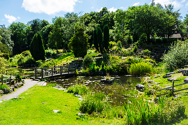 포토 JPG 해외이미지 나무 계절 공원 꽃 잎 봄꽃 자연 하늘 풍경 사람없음 야외 건물 초록색 물 파란색 태양 일본 봄 연못 암초 내추럴 해외포토 자연요소 식물 건축물 공공시설 아시아 컬러 생태계 파일형식 이미지허브