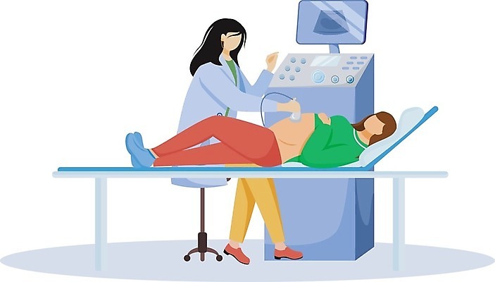 EPS 해외이미지 전신 라이프스타일 여자 의자 일러스트 엄마 들기 앉기 성인 두명 눕기 기계 임산부 임신 진료 확인 산부인과 병원침대 산부인과의사 초음파 초음파검사 얼굴없음 성인여자만 해외일러스트 가구 의학 가족 모션 병원 사람 생활 의사 침대 검사_조사 여자만 성인만 파일형식 벡터 이미지허브