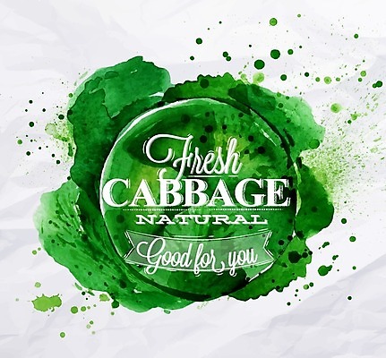 EPS 해외이미지 일러스트 수채화 사람없음 초록색 양배추 손그림 해외일러스트 컬러 채소 파일형식 벡터 이미지허브