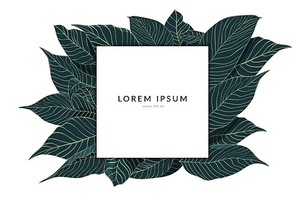 EPS 해외이미지 식물 디자인 꽃 종이 결혼 백그라운드 잎 패턴 일러스트 자연 추상 수채화 아이디어 프레임 미술 장식 초록색 여름 유행 우주 정원 봄 수확 흰색 인사 신선 신용카드 플랫 엉덩이 스케치 그림 질감 레이아웃 초대 내추럴 고립 구성 파스텔톤 힙스터 카피스페이스 미니멀 해외일러스트 계절 패션 컬러 컨셉 무늬 농업 문화예술 이벤트 신체부위 금융 공백 예절 생태계 파일형식 벡터 이미지허브