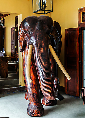 포토 JPG 해외이미지 동물 아시아 야생동물 여행 포유류 자연 휴식 코끼리 동양인 사람없음 옆모습 머리 기쁨 게임 아기 돼지 큼 인도인 사파리 해외포토 외국인 감정 나라 뷰포인트 컨셉 놀이 사람 인종 신체부위 크기 생태계 파일형식 이미지허브