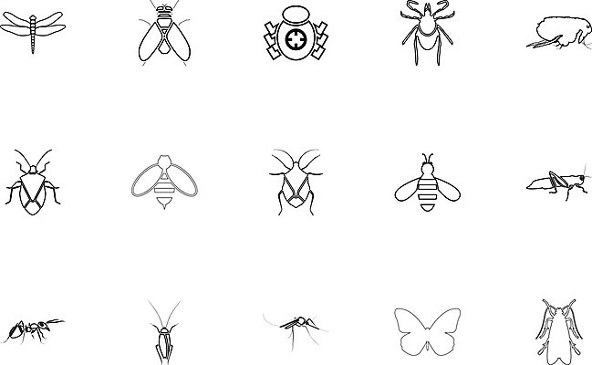 EPS 해외이미지 동물 옷 실루엣 야생동물 나비 곤충 날개 일러스트 자연 미술 여름 컬러풀 고통 직물 바이러스 해충 벌레 잠자리 목표 위험 작음 벌 수집 딱정벌레 심볼 사인 그림 시력 개미 나방 토막 전염병 진실 해외일러스트 계절 감정 컬러 컨셉 문화예술 촬영기법 질병 크기 생태계 파일형식 벡터 이미지허브