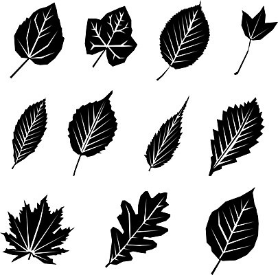 EPS 해외이미지 모양 나무 식물 디자인 계절 실루엣 백그라운드 단풍 잎 꽃무늬 일러스트 자연 장식 여름 세트 검은색 가을 흰색 수집 심볼 유기농 내추럴 고립 생태학 엘리먼트 해외일러스트 웰빙 교육 꽃 컬러 무늬 촬영기법 생태계 파일형식 벡터 이미지허브