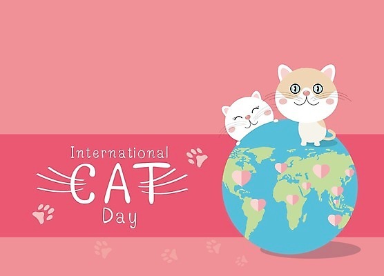 EPS 해외이미지 동물 템플릿 캐릭터 디자인 배너 커플 행복 포스터 지구 분홍색 백그라운드 컨셉 지도 일러스트 벽지 사랑 그래픽 반려동물 세계 글로벌 지구본 귀여움 고양이 흰색 하트 인사 신용카드 산호 만화 8월 10월 해외일러스트 일러캐릭터 모양 감정 컬러 포유류 관계 금융 예절 날짜 자포동물 파일형식 벡터 이미지허브