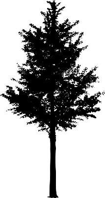 EPS 해외이미지 클립아트 나무 템플릿 공원 실루엣 줄기 낙엽 곡선 일러스트 자연 그림자 야외 그래픽 환경 수확 낙서 큼 스케치 자르기 관목 흰배경 복고 생물학 내추럴 고립 삼림지대 현실 해외일러스트 식물 공공시설 교육 선 백그라운드 잎 농업 모션 촬영기법 미술 흰색 숲 크기 생태계 파일형식 벡터 이미지허브