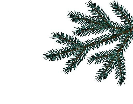 EPS 해외이미지 나무 식물 전통 디자인 실루엣 백그라운드 크리스마스 일러스트 자연 휴가 새로움 기념 프레임 세포 장식 초록색 파란색 축제 공백 나뭇가지 축하 인사 소나무 신용카드 투명 숲 연도 심볼 체크무늬 뼈대 상록수 침엽수 전나무 고립 가문비나무 현실 해외일러스트 기념일 컬러 컨셉 무늬 촬영기법 금융 예절 생태계 파일형식 벡터 이미지허브