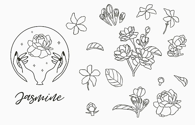 EPS 해외이미지 손 꽃잎 꽃 잎 라인일러스트 일러스트 신체부위 세트 원형 심볼 라인아트 꽃봉오리 재스민 해외일러스트 도형 식물 선 사람 파일형식 벡터 이미지허브